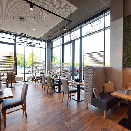 Kedi بابينبورغ