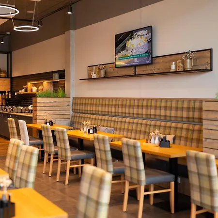 Kedi 2* بابينبورغ